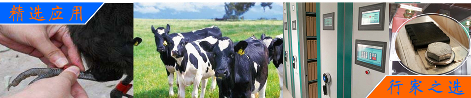 新型取代脲類促進劑的分子設計，以應對高Tg、高韌性和高附著力環(huán)氧材料的開發(fā)