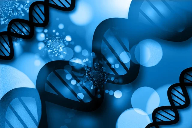 如何通過調(diào)整硅PU厚涂快干劑的用量，實(shí)現(xiàn)對涂料固化速率的精確控制，以適應(yīng)不同的施工條件。